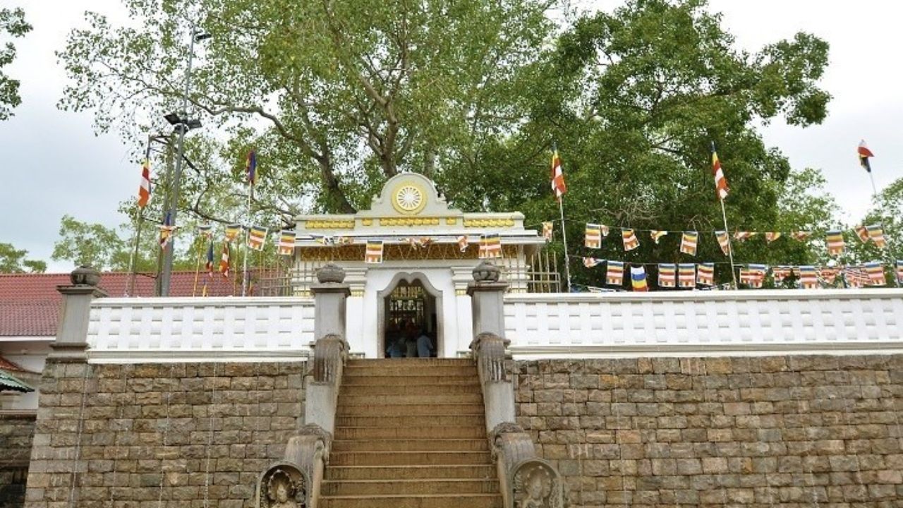 Jaya Sri Maha Bodhiya: The Sacred Fig Tree of Anuradhapura