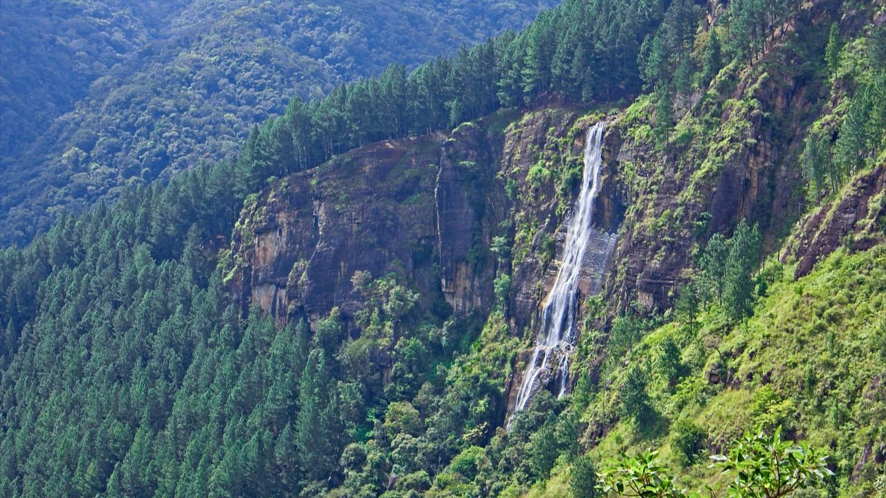 Unveiling the Enchantment of Bambarakanda Waterfalls